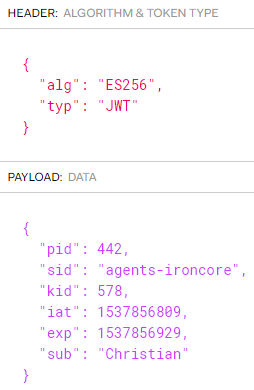 Decrypted form of JWT token, which is, however, used in encrypted form to initialize.