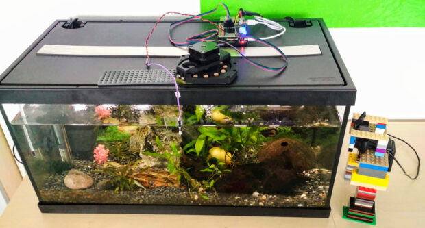 Automatic fish-feeder in the aquarium.