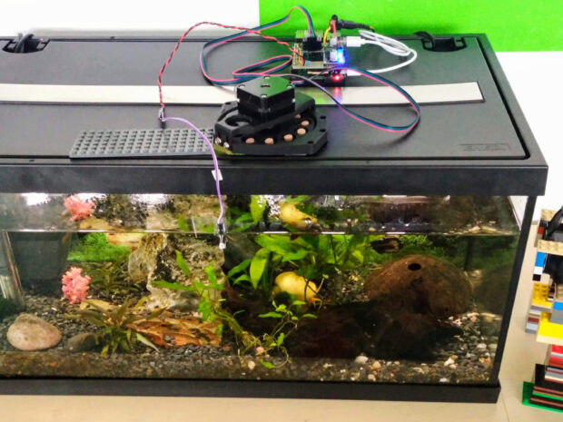 Automatic fish-feeder in the aquarium.